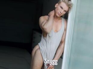 Snygg