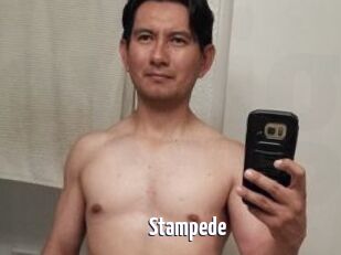 Stampede
