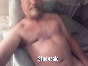 Stud4sale