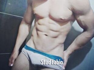Stud_Fabio