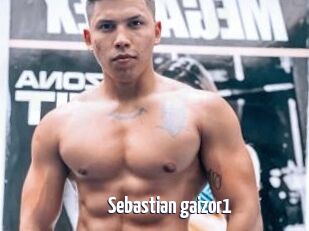 Sebastian_gaizor1