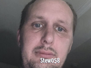 Stew058