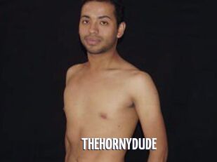 THEHORNYDUDE