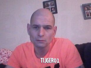 TIJGER01