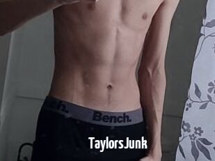 TaylorsJunk