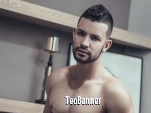 TeoBanner