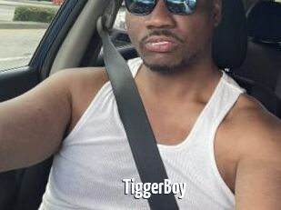 TiggerBoy