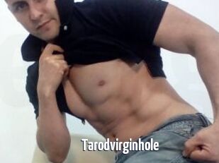 Tarodvirginhole