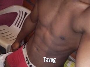 Tavog
