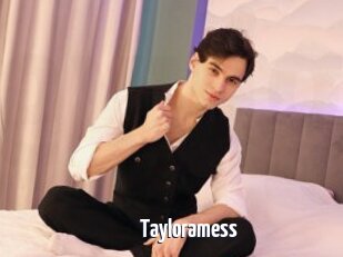 Tayloramess