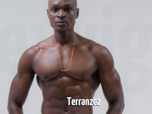 terranzez Extraits Videos Gays