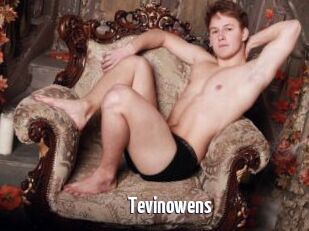 Tevinowens