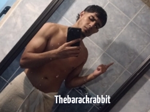Thebarackrabbit