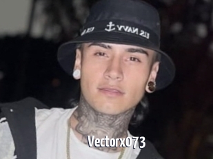 Vectorx073