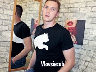 Vlossiecub