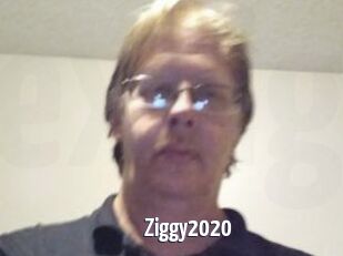 Ziggy2020