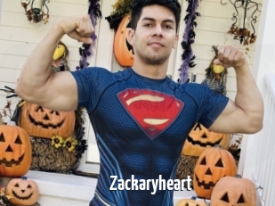 zackaryheart Extraits Videos Gays